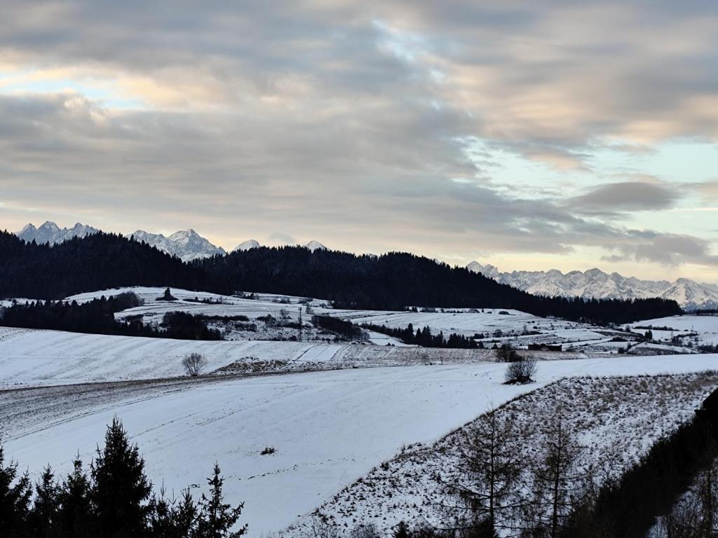 Domek Pieniny - Zdjęcie 13